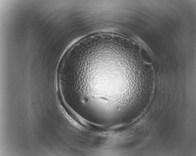 X0000060781036200511141412