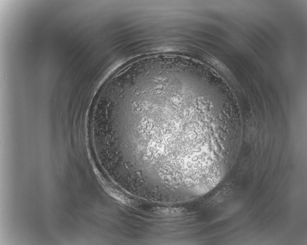 X0000060781039200511141412