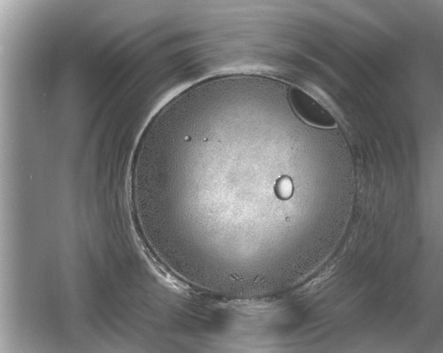 X0000060781044200511141412