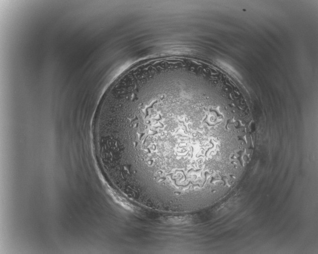 X0000060781047200511141412