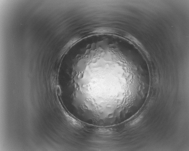 X0000060781049200511141412