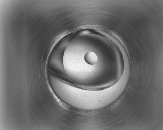 X0000060781050200511141412