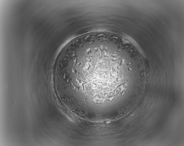 X0000060781051200511141412