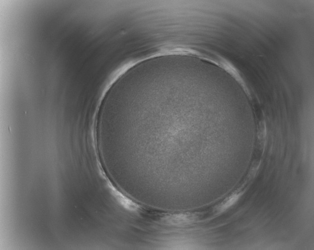 X0000060781054200511141412