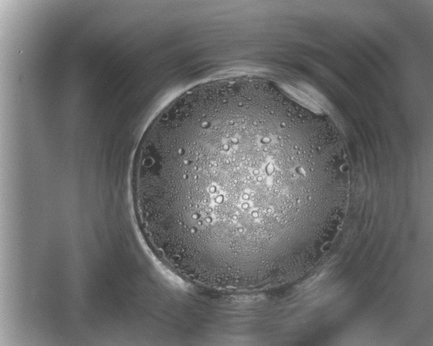 X0000060781055200511141412