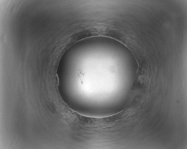 X0000060781057200511141411