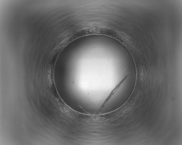 X0000060781060200511141411