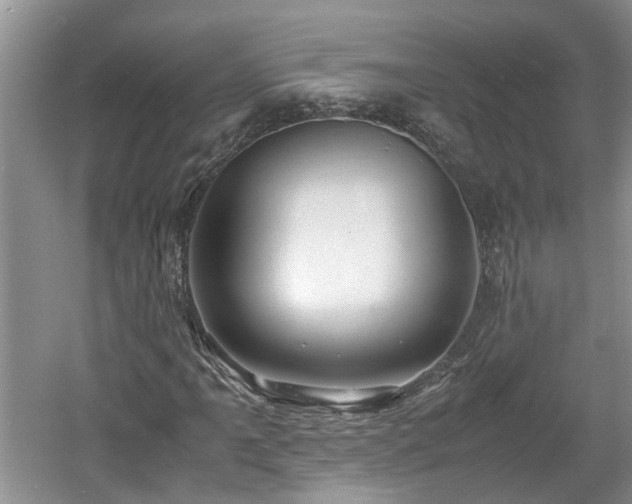 X0000060781061200511141411