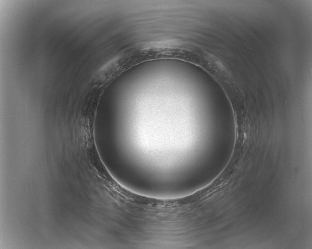 X0000060781062200511141411