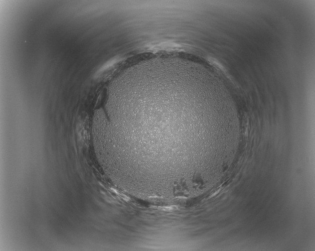 X0000060781063200511141411