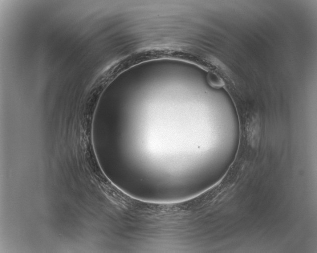 X0000060781064200511141411