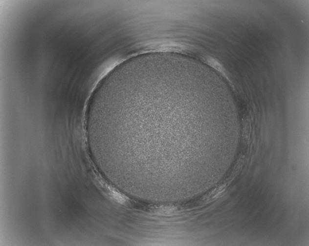 X0000060781071200511141411