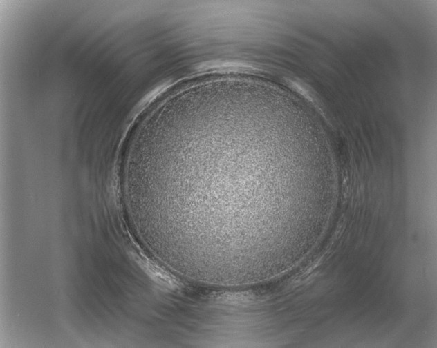 X0000060781074200511141411