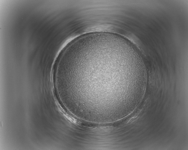 X0000060781078200511141411