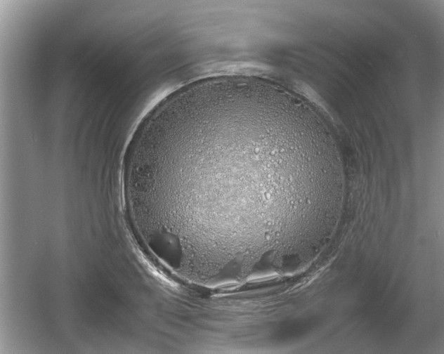 X0000060781079200511141411