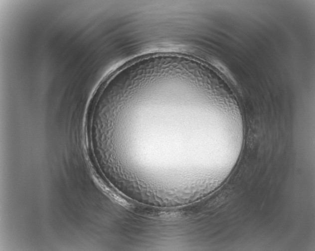 X0000060781080200511141411