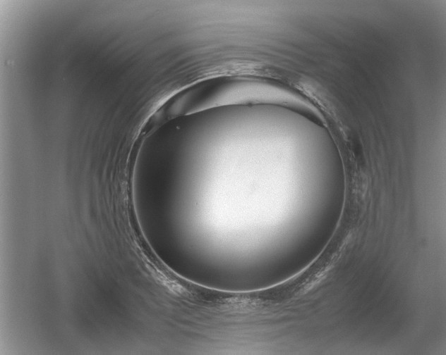 X0000060781081200511141411