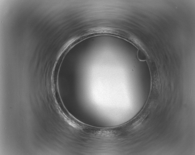 X0000060781082200511141411