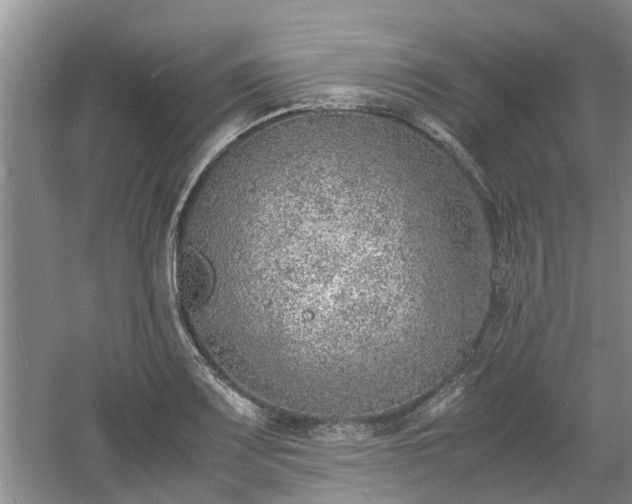 X0000060781083200511141411