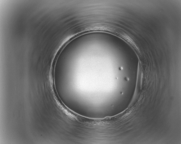 X0000060781084200511141411