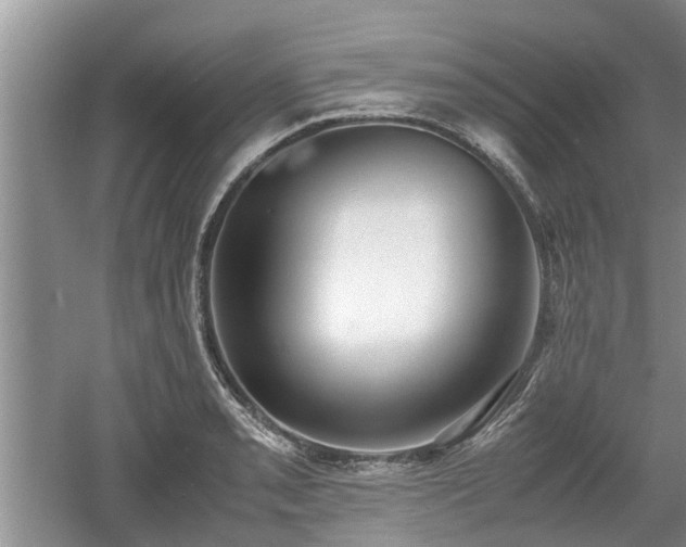 X0000060781085200511141411