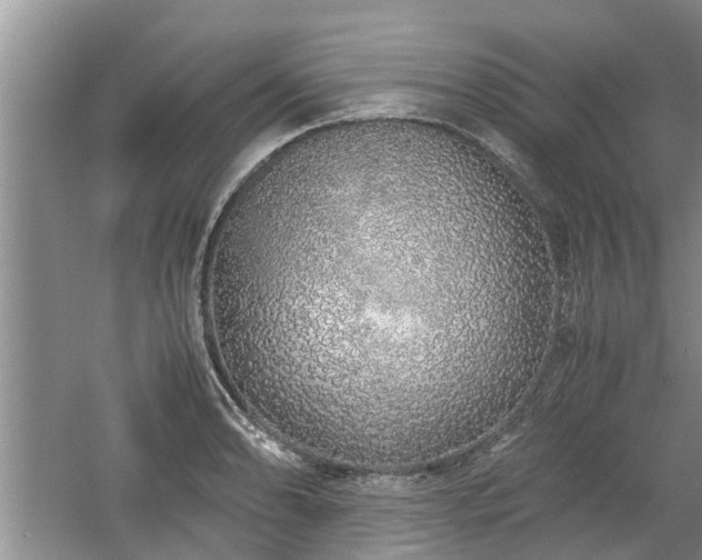 X0000060781086200511141411