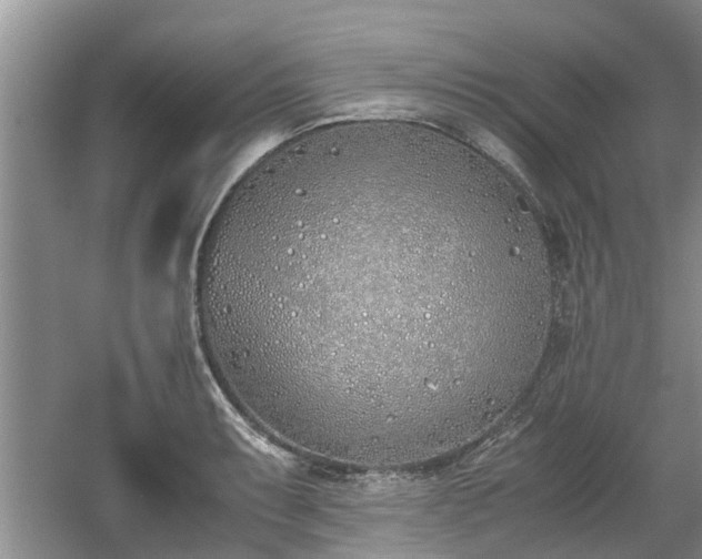 X0000060781087200511141411