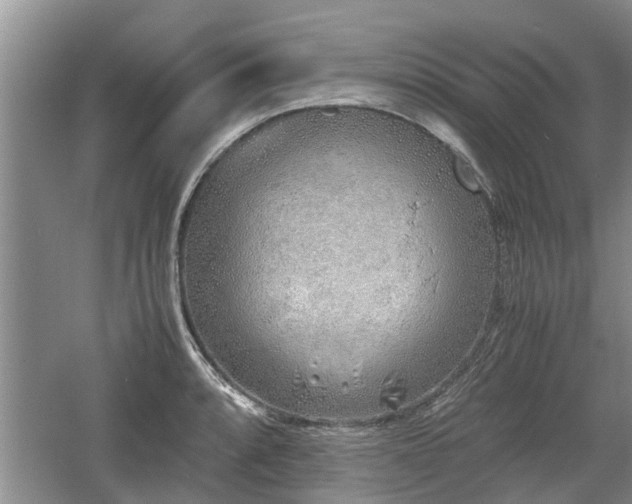 X0000060781088200511141411