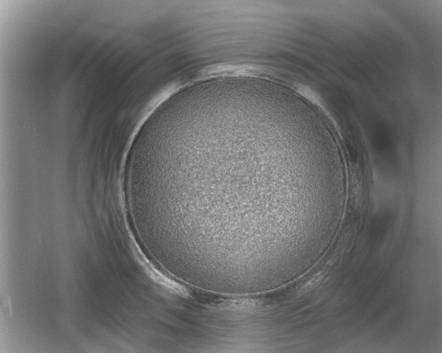 X0000060781090200511141411