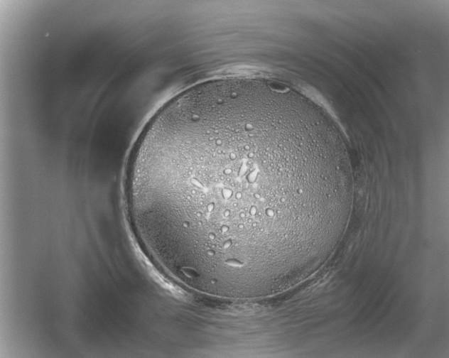 X0000060781091200511141411