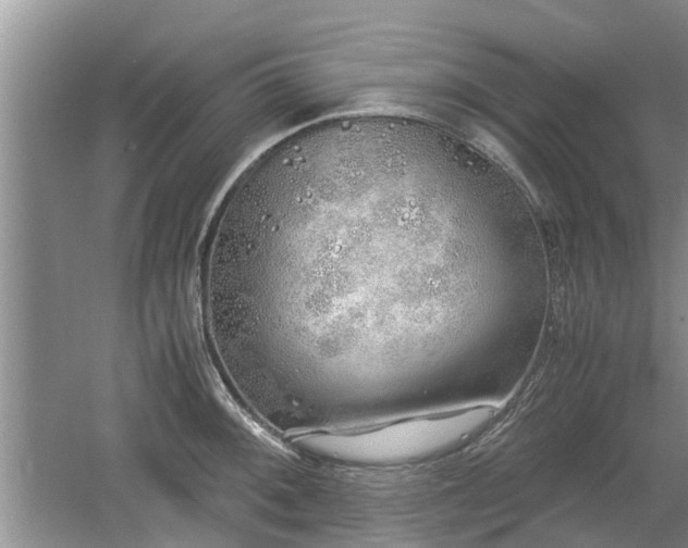 X0000060781092200511141411