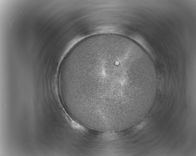 X0000060781094200511141410