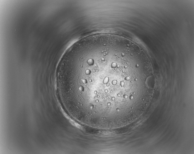 X0000060781095200511141410