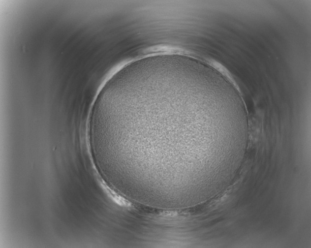 X0000060781098200511141410