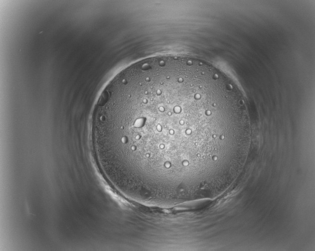 X0000060781099200511141410