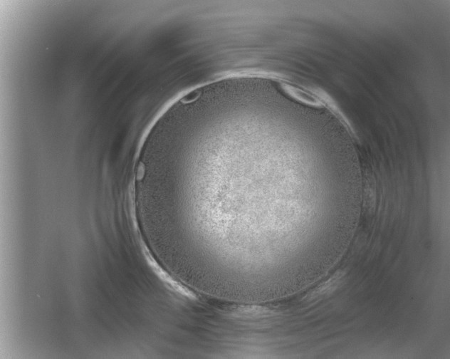 X0000060781100200511141410