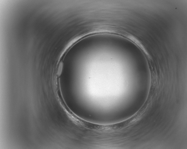 X0000060781101200511141410