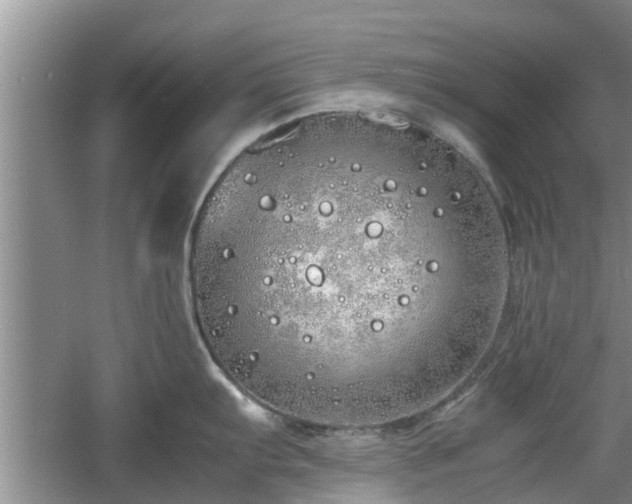 X0000060781103200511141410