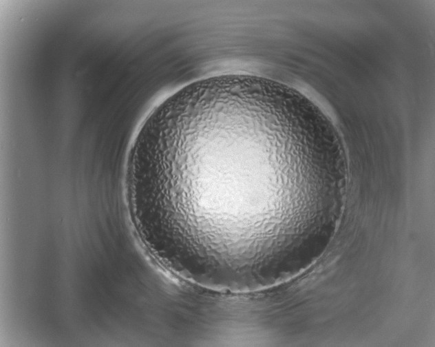 X0000060781104200511141410