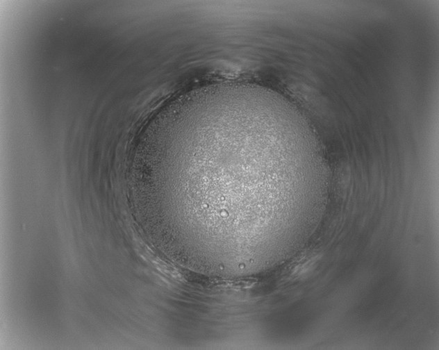 X0000060781105200511141409