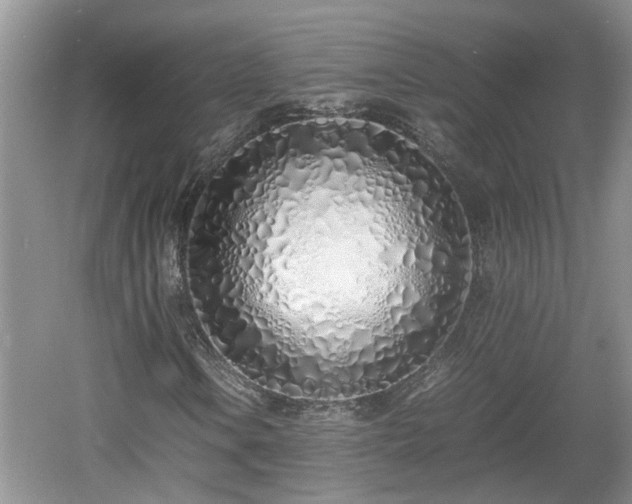 X0000060781106200511141409