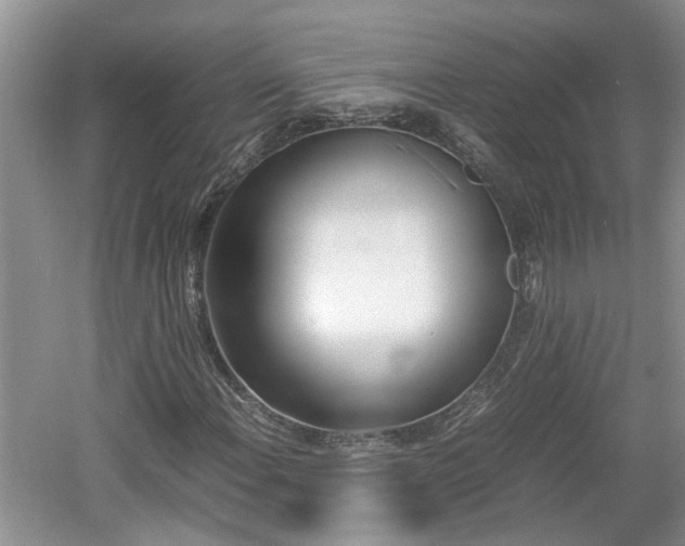 X0000060781108200511141409