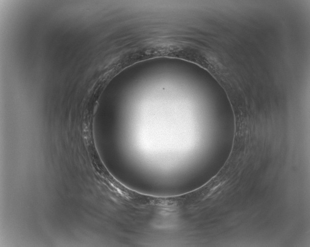 X0000060781109200511141409