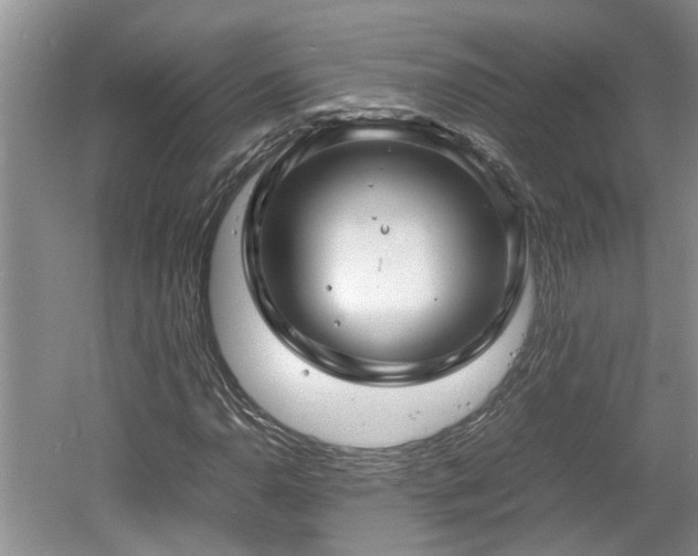 X0000060781110200511141409