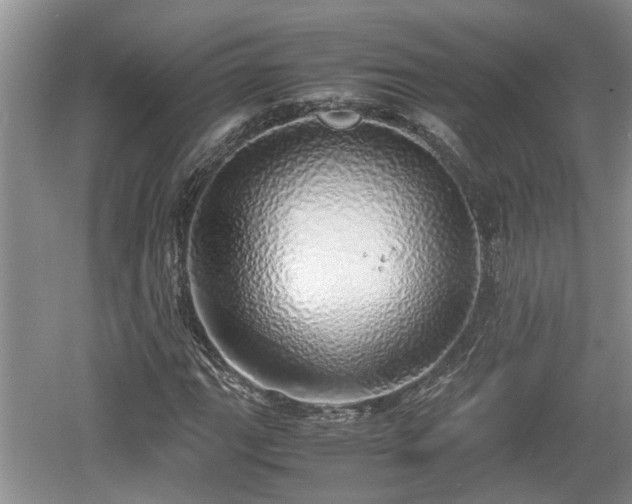 X0000060781111200511141409