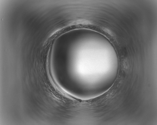 X0000060781112200511141409