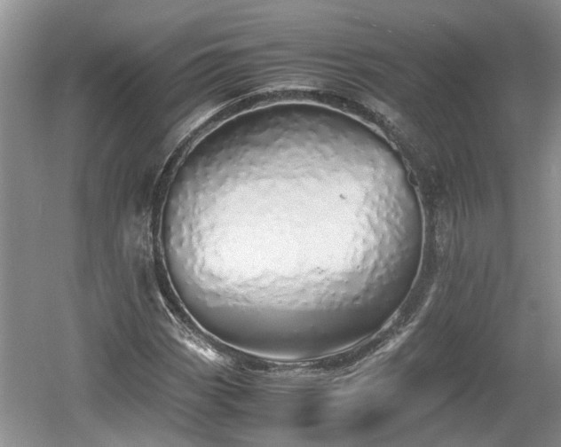 X0000060781113200511141409