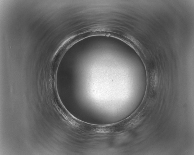 X0000060781115200511141409