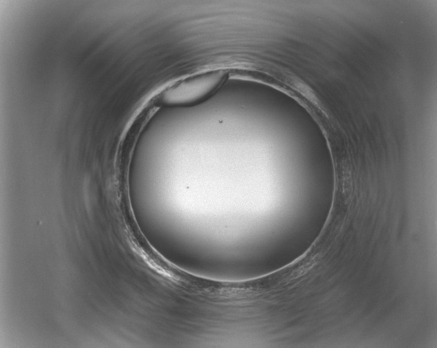 X0000060781116200511141409