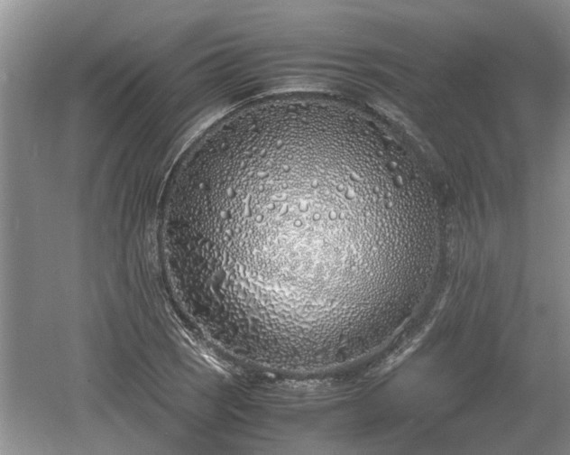 X0000060781121200511141409